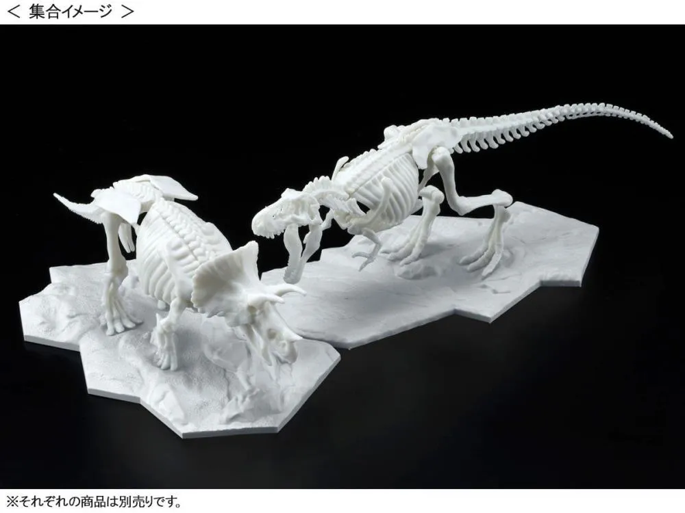 Bandai - Dinosaur Skeleton: Triceratops