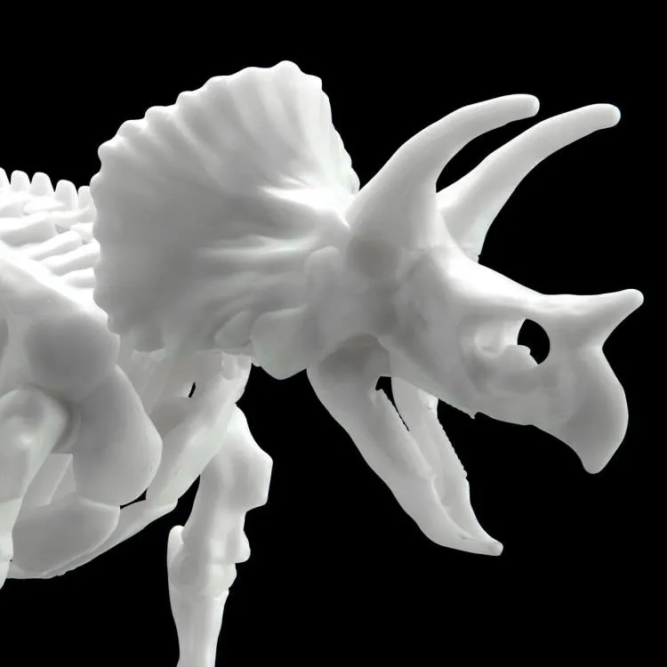 Bandai - Dinosaur Skeleton: Triceratops